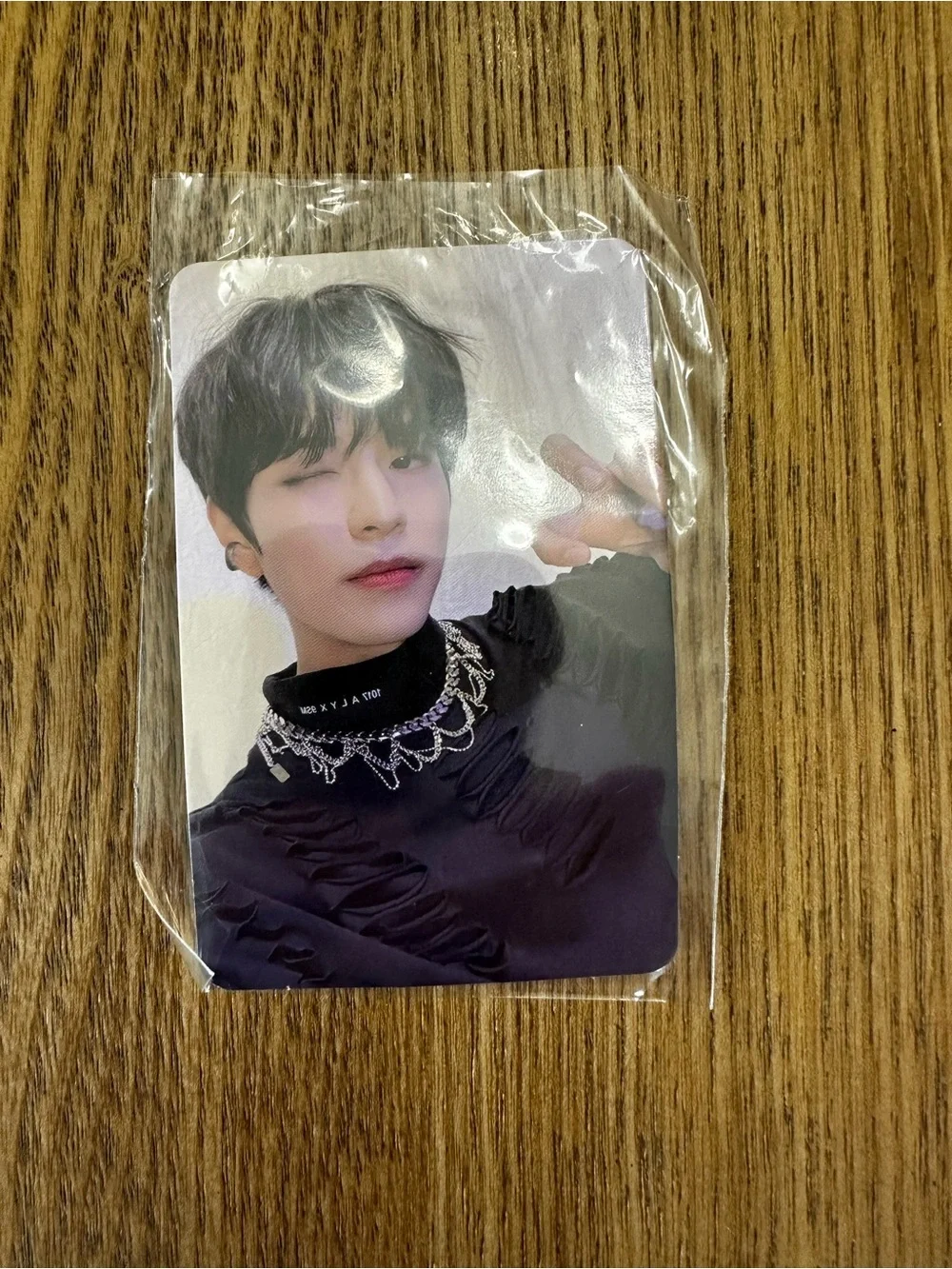 Official Stray Kids SKZOO Suengmin PuppyM Plush Key Chain with Photo Card